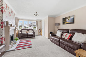 Photo 21- click for photo gallery